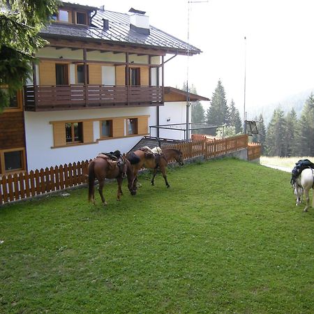 Hotel Piccolo Pocol Cortina dʼAmpezzo Exterior foto